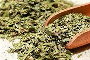 Chá Branco (Camellia Sinensis) 20g