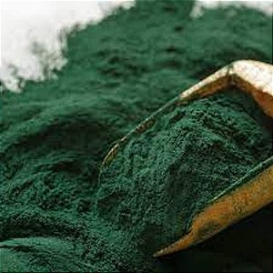 Spirulina em pó 100g