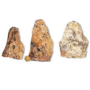 10 Turmalina Preta no Feldspato Pé Serrado 1 a 2Kg +- 17cm C