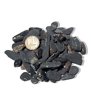 Pacotinho Shungite Pedra Natural Rolado 10 a 50mm 100g