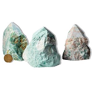 10 Jadeita Pé e Bico Serrado 300 a 400g 8 a 11cm Tipo B