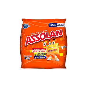 Esponja de Lã de Aço Assolan 45g 8un