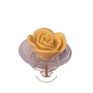 Rosa maior