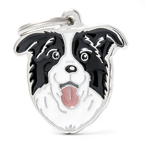 Plaquinha de Identificação Cão Border Collie - MyFamily - 552583