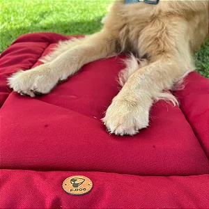 Colchonete passeio para cães e gatos Bordô - p.Dog - 215480