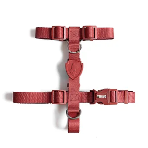 Conjunto Peitoral H + Guia 1,2m Vermelho - FreeFaro
