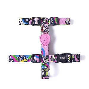 Conjunto Peitoral H + Guia 1,2m Meninas Super Poderosas Tamanho P - FreeFaro