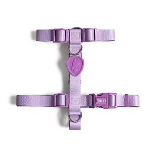Conjunto Peitoral H + Guia 1,2m Lilás - FreeFaro
