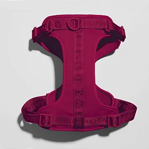 Conjunto Peitoral + Guia Vermelha - We Are Family