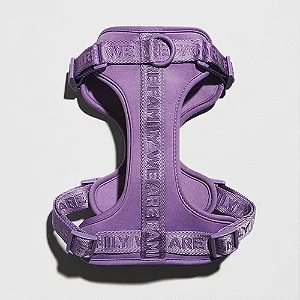 Conjunto Peitoral + Guia Lílas - We Are Family