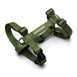 Conjunto Peitoral em H e Guia para Cães Verde - Cachorreiros