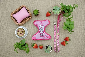 Conjunto Peitoral e Guia Moranguinho Aquarela - Oh My Dog