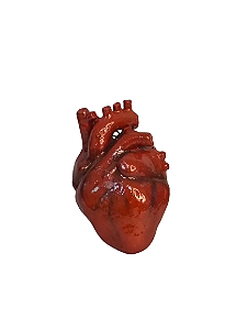 Chaveiro Coração Anatomia Realista