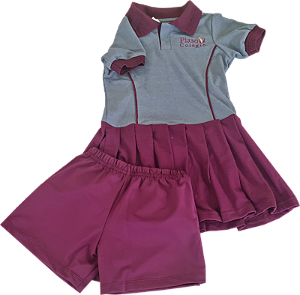 VESTIDO - Uso Exclusivo na Unidade I - (Infantil, 1º ao 5° Ano )