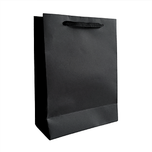 10 Sacolas de Papel Lisas Preta P - 15Lx22Ax7Fcm