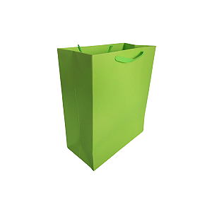 20 Sacolas Coloridas Linha Neon Fluorescente Verde P –18,5LX22AX9Fcm