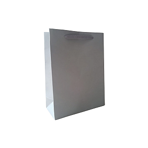 10 Sacolas de Papel Lisas Cinza P - 15LX22AX7Fcm