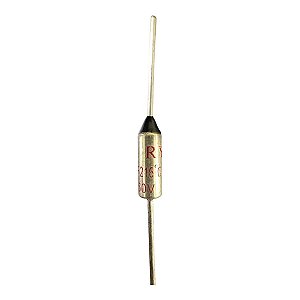 FUSIVEL TERMICO 10 AMP 250V 216 GRAUS