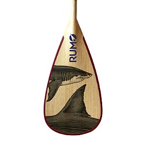 Remo Elite Madeira M021