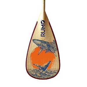 Remo Elite Madeira M022