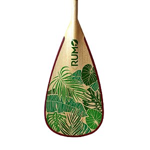 Remo Elite Madeira M027