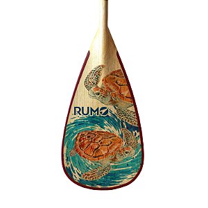 Remo Elite Madeira M028