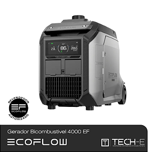 Gerador inteligente Bicombustível 4000 da EcoFlow
