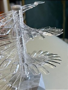 MOSTRUÁRIO ASPIRAL DE ESMALTE