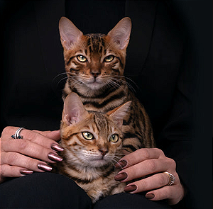 ESMALTE CATY EYE COLLECTION BLUWE