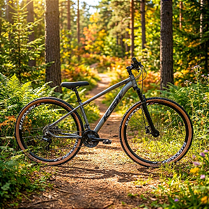 Bicicleta Aro 29 KSW Grafite 21Velocidades
