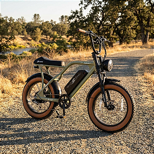 E-BIKE GALAXY 20X4.00 7V MOTOR 750W BATERIA 15.6AH 48V