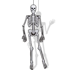 Decoracao Halloween Esqueleto Regina