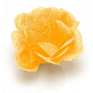 Forminha R-82 C/40 Laranja Claro - Maxiformas
