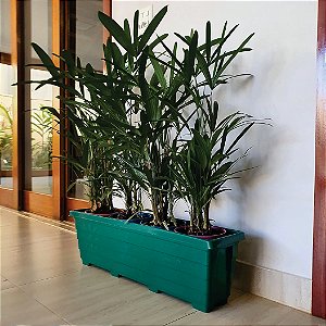Floreira Plastica 80cm, nº 4,   GOYAMA