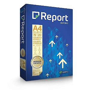 Papel Sulfite A4 75g Colorido c/ 500 Fls - Report