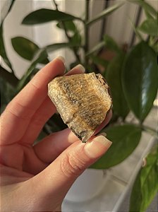 Olho de Tigre – Proteção • Prosperidade • Coragem Interior