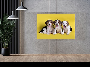 Quadro decorativo - Trio canino