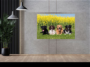 Quadro decorativo - Cães brincando em um campo de flores