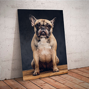 Quadro decorativo - Retrato de um Bulldogue Francês