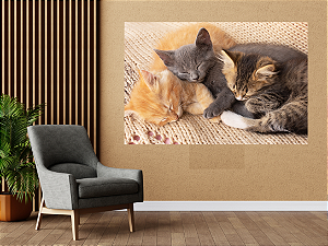 Quadro decorativo - Gatinhos em sono profundo