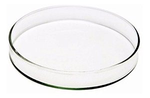 Placa de Petri em Vidro Tamanho: 150x25mm