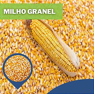 Milho Inteiro a Granel
