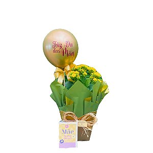 Kalanchoe com balão e cartão