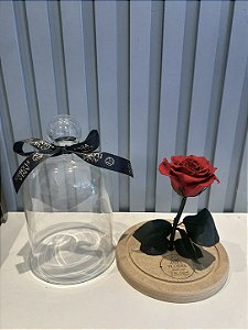Rosa preservada com caule (Dura de 2 a 8 anos)