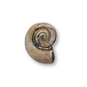 Pingente Concha Caracol