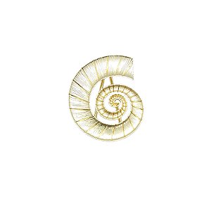 Entremeio Caracol Dourado-4,1cm