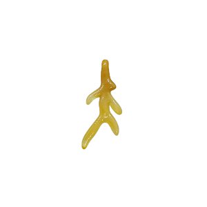 Pingente Galhos De Corais De Resina - Cor Caramelo Translúcido