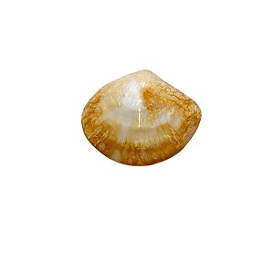 Fivela Concha de Resina Grande - Bege com Mescla - 8,5cm x 7cm