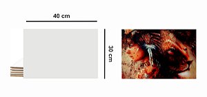 Kit Azulejo Resinado 30x40 Aladim Brindes (05 Unidades)