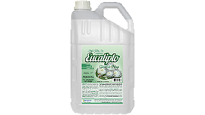 Desinfetante 5L Limpbras Eucalipto